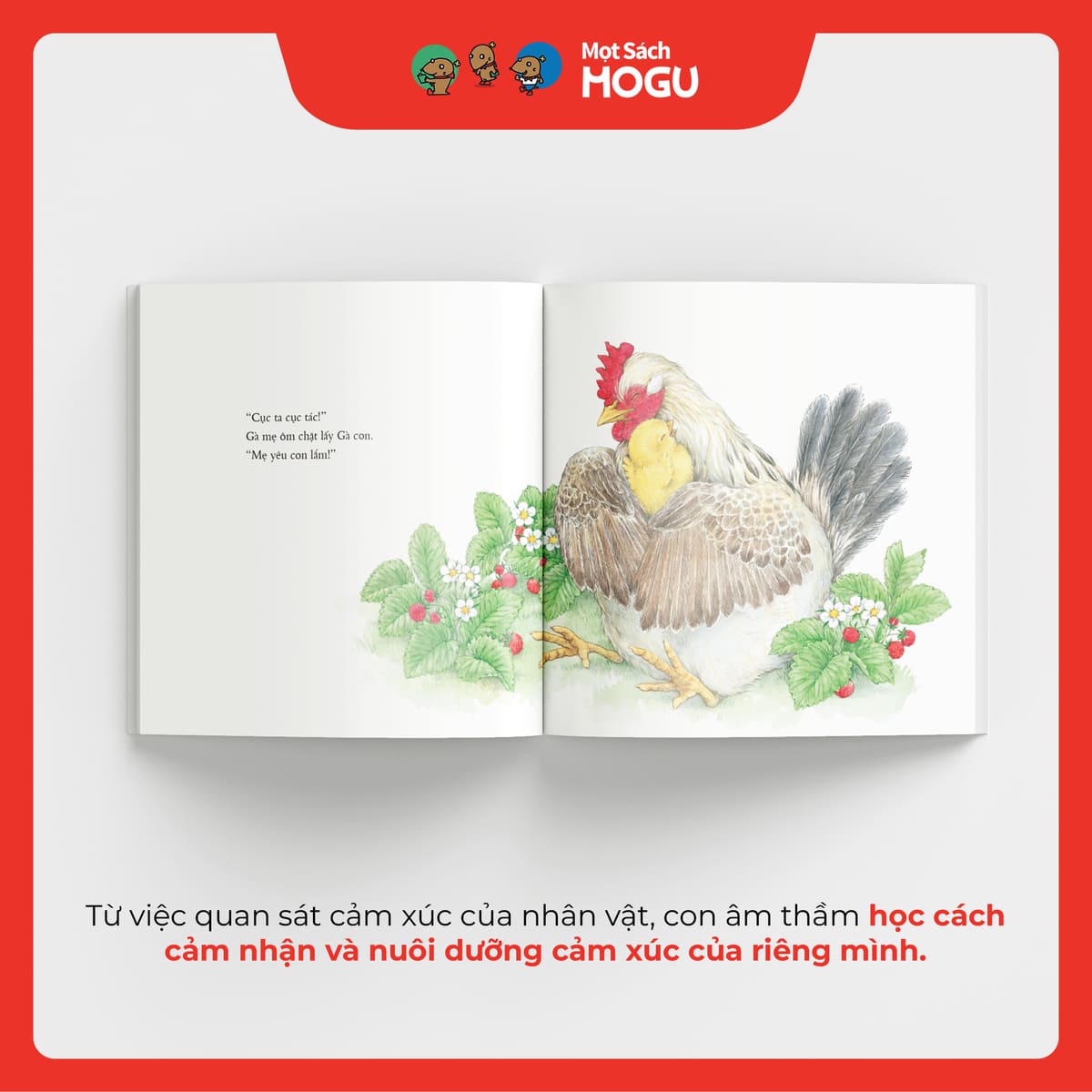 Này, Cậu Ơi!