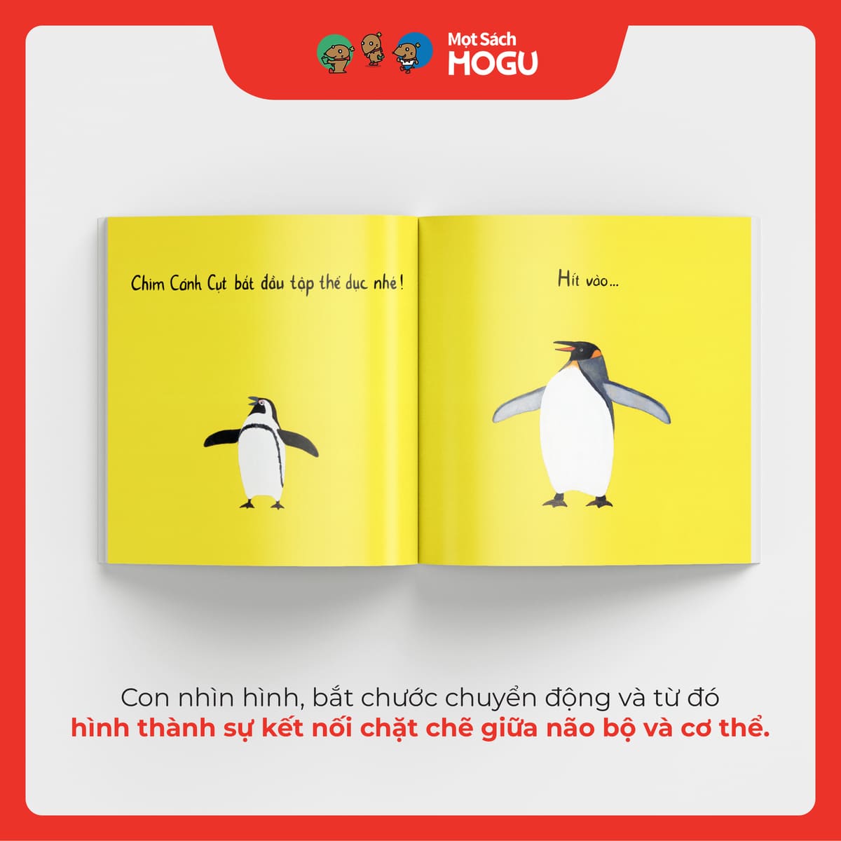 Chim Cánh Cụt Tập Thể Dục