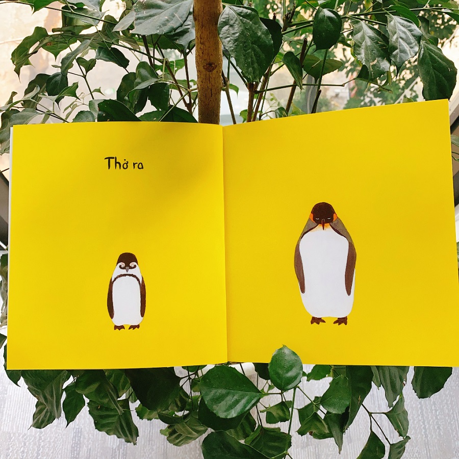 Chim Cánh Cụt Tập Thể Dục