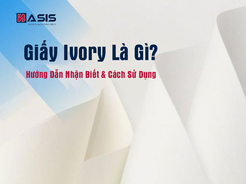 Giấy Ivory Là Gì? Hướng Dẫn Nhận Biết & Cách Sử Dụng
