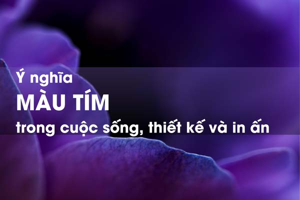 Màu tím trong in ấn và đồ họa