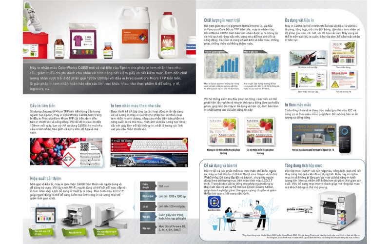 Máy in Epson colorworls C4050