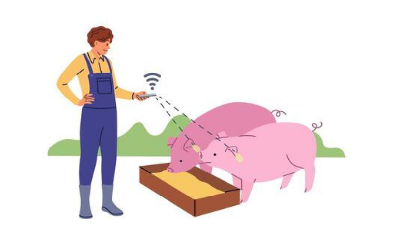 Ứng dụng thẻ RFID LF Theo dõi động vật