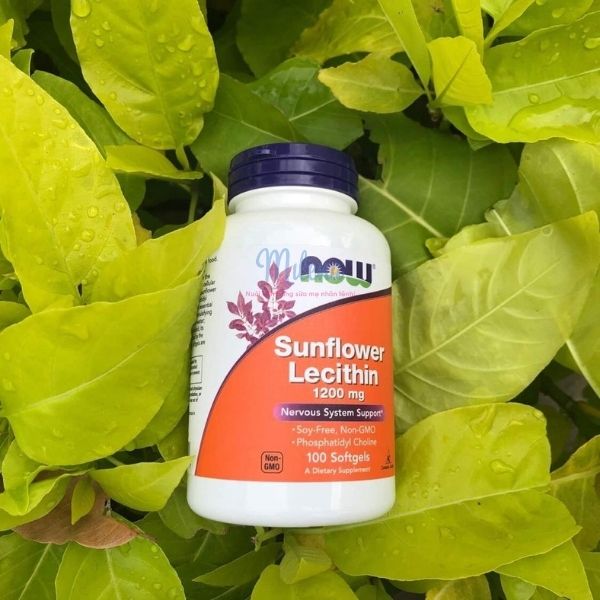 Thuốc Chống Tắc Tia Sữa Now Lecithin