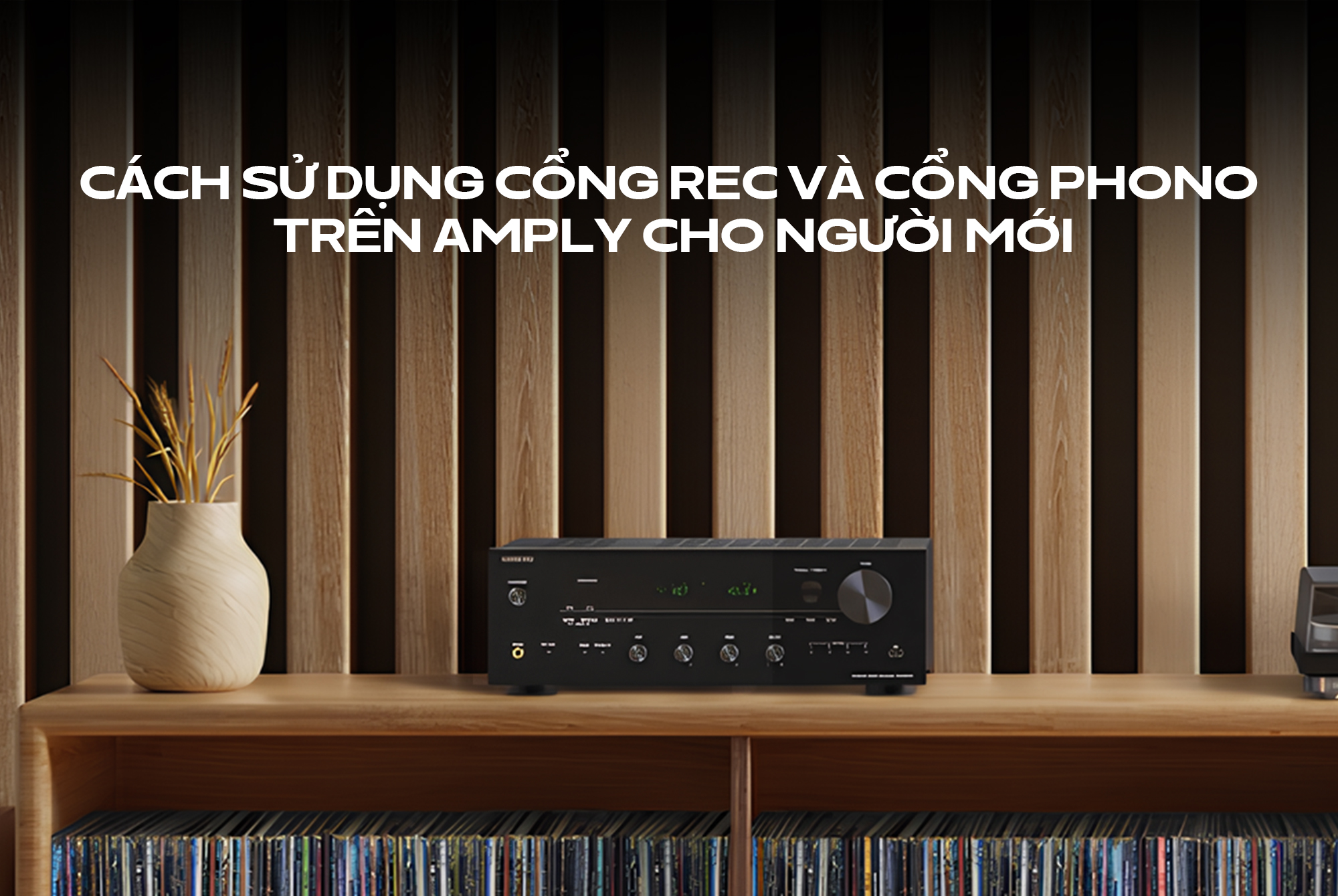 Cổng REC, cổng Phono là gì? Cách sử dụng cổng REC và cổng Phono trên amply cho người mới