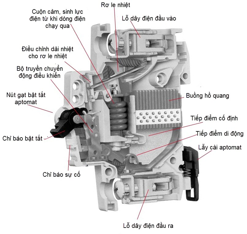 Sơ đồ cấu tạo và hoạt động của Motor CB
