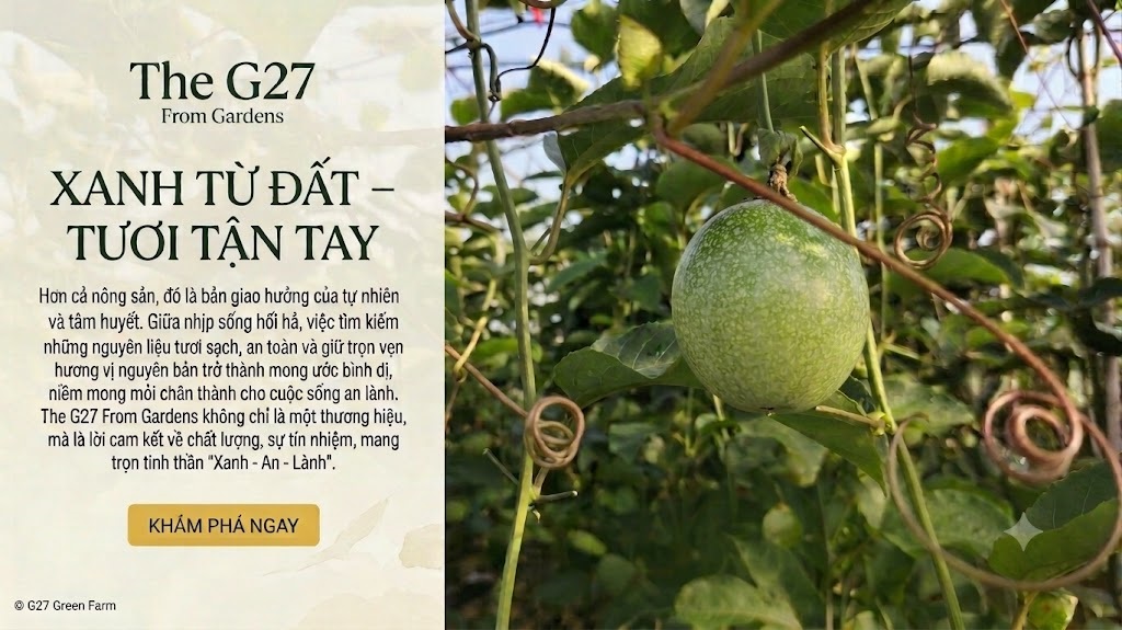 The G27 From Gardens