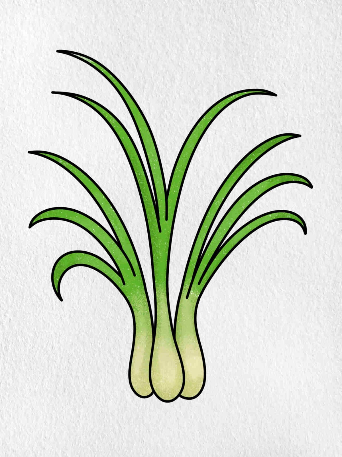 Danh mục DG - Rau thơm, rau gia vị