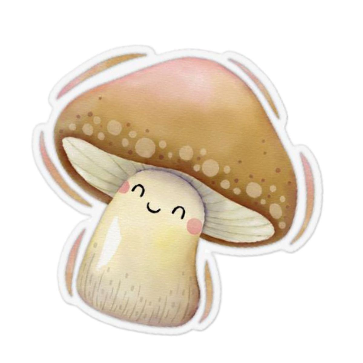 Danh mục Các loại nấm, măng DG