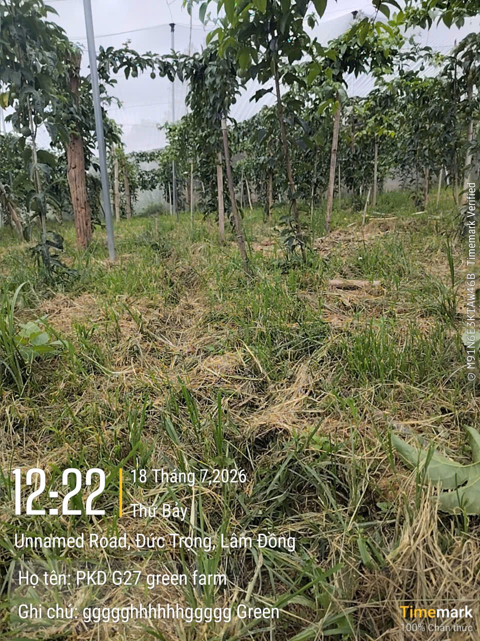 Hình ảnh G27 số 3