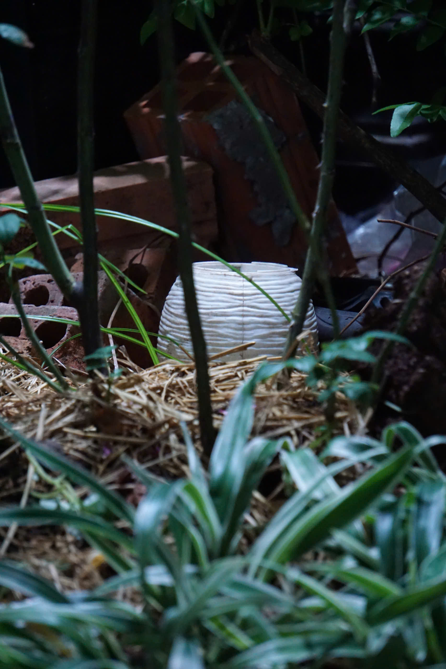 Góc nhỏ mộc mạc về đêm