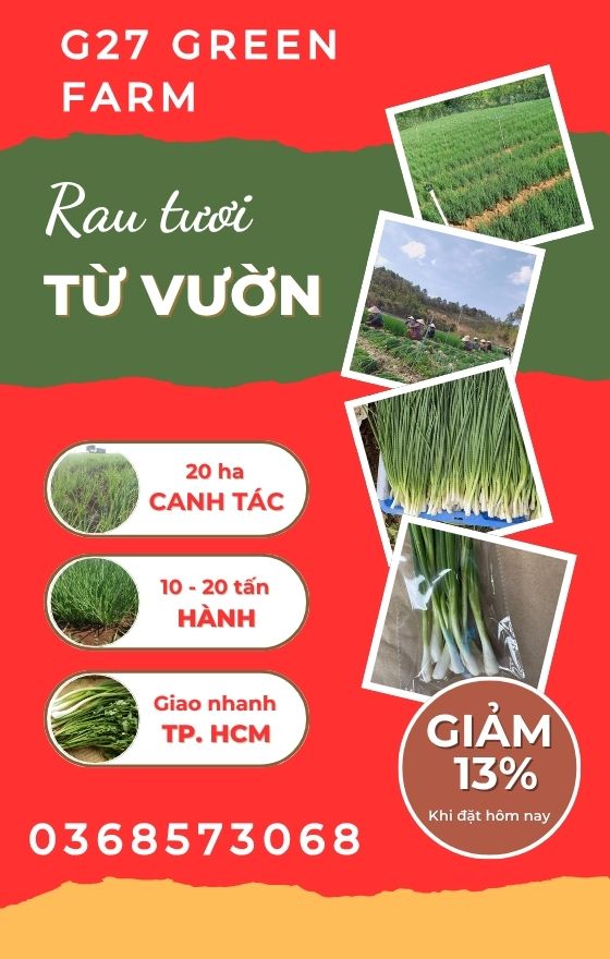 Hành lá G27 Green Farm