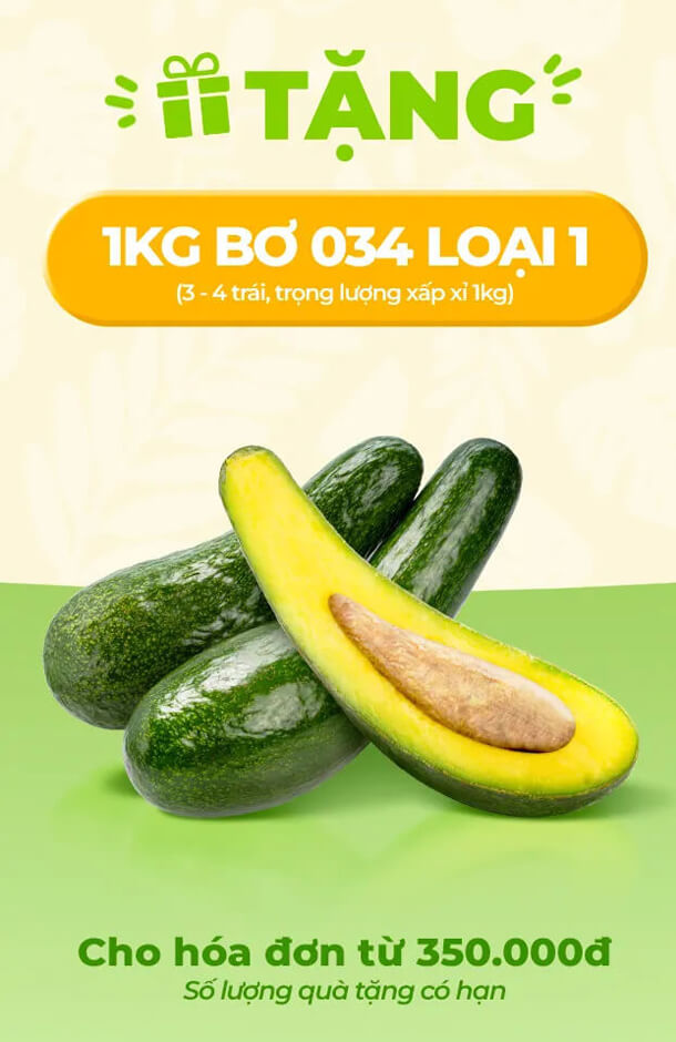 Tặng bơ 034