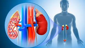 HIỆU QUẢ VÀ TÍNH AN TOÀN CỦA TACROLIMUS TRONG ĐIỀU TRỊ TỔN THƯƠNG THẬN LUPUS
