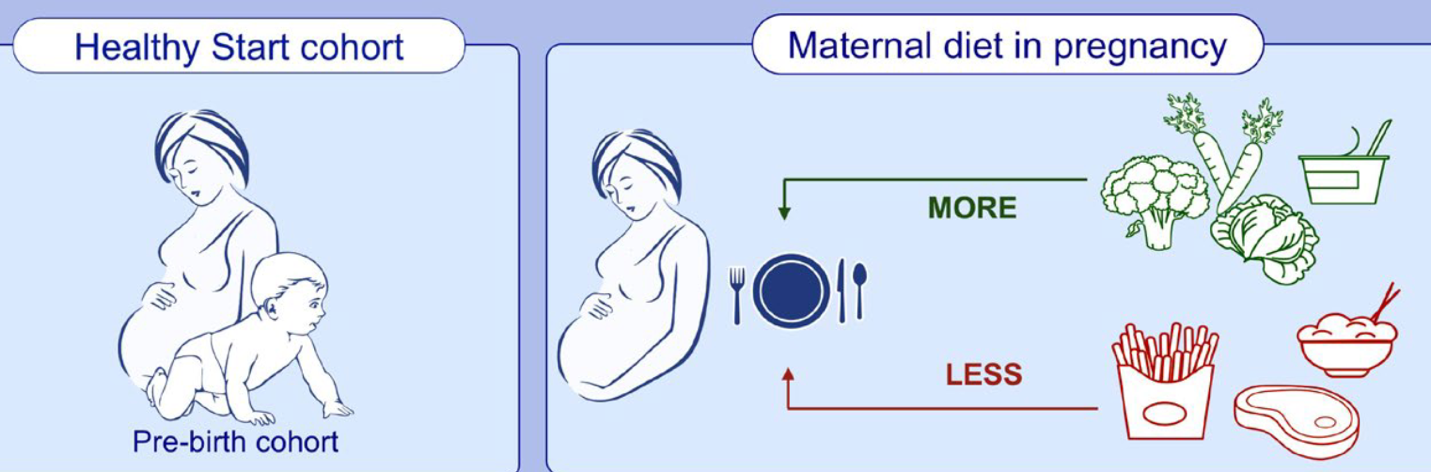 CAN THIỆP CHẾ ĐỘ ĂN UỐNG CHO MẸ TRONG THỜI KÌ MANG THAI CÓ LÀM GIẢM NGUY CƠ MẮC BỆNH DỊ ỨNG Ở CON?