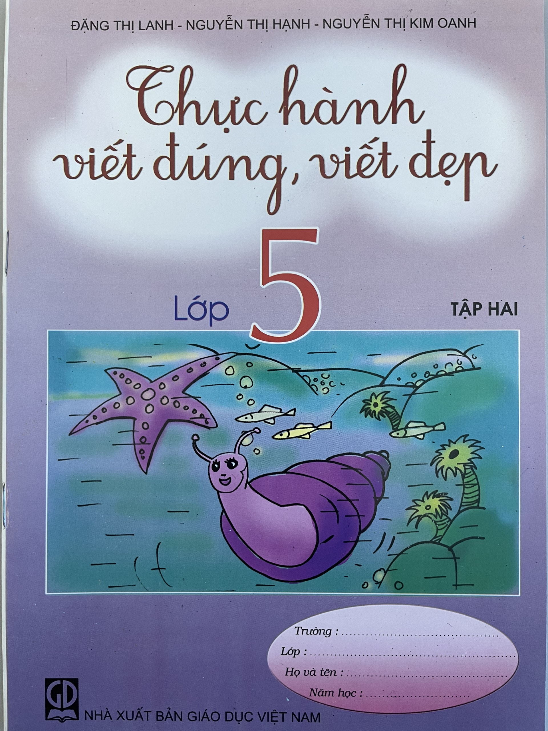 Thực Hành Viết Đúng Viết Đẹp Lớp 5 Tập 2