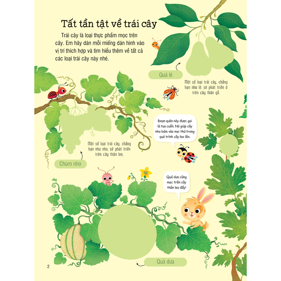 First Sticker Book - Sách Dán Hình Đầu Đời Cho Bé - Trái Cây Và Rau Củ