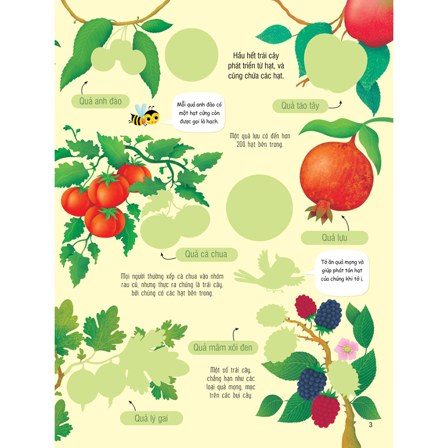 First Sticker Book - Sách Dán Hình Đầu Đời Cho Bé - Trái Cây Và Rau Củ