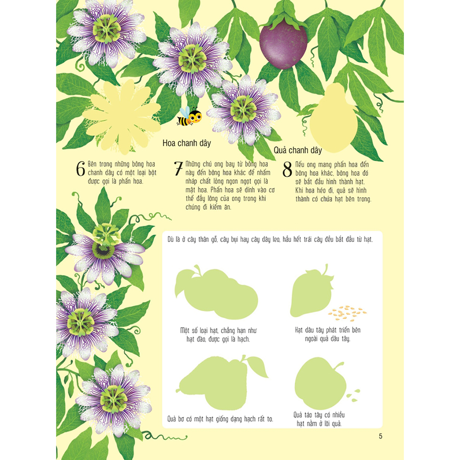 First Sticker Book - Sách Dán Hình Đầu Đời Cho Bé - Trái Cây Và Rau Củ