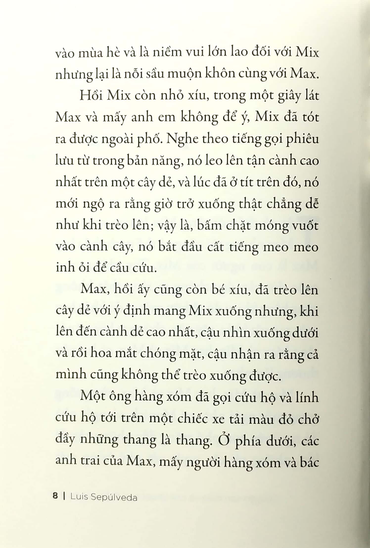 Chuyện Con Mèo Và Con Chuột Bạn Thân Của Nó