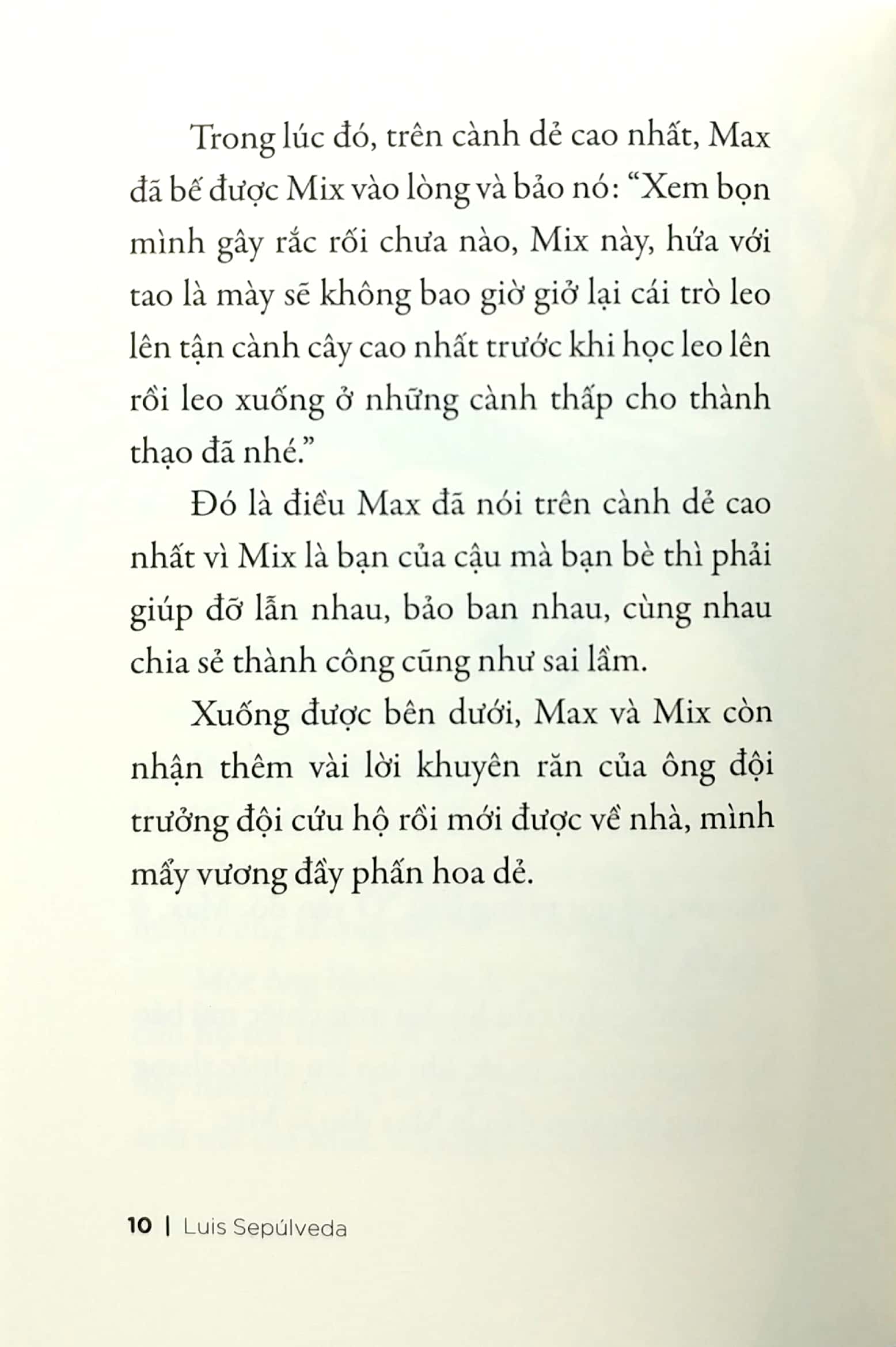 Chuyện Con Mèo Và Con Chuột Bạn Thân Của Nó