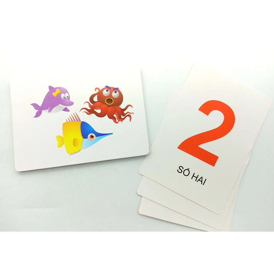 Flash Card - Số Đếm Tiếng Việt Đầu Tiên Cho Bé