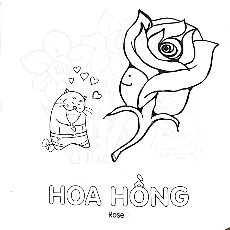 TÔ MÀU HOA HỒNG TẶNG MẸ