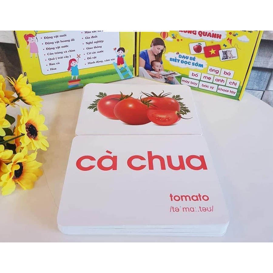 Flash Card Dạy Trẻ Thế Giới Xung Quanh - Dạy Bé Biết Đọc Sớm