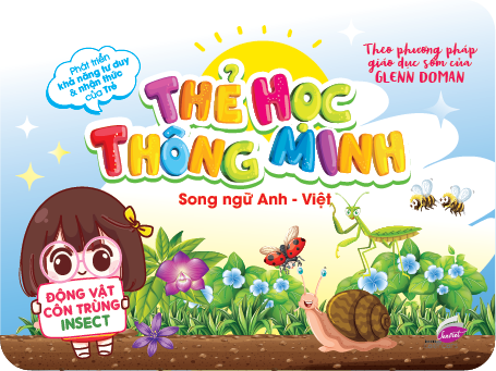 Thẻ Học Thông Minh Song Ngữ Anh - Việt - Động Vật Côn Trùng