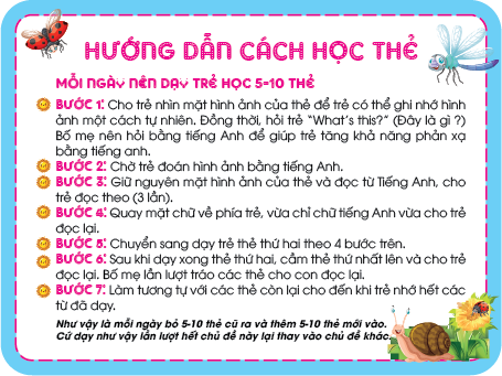 Thẻ Học Thông Minh Song Ngữ Anh - Việt - Động Vật Côn Trùng