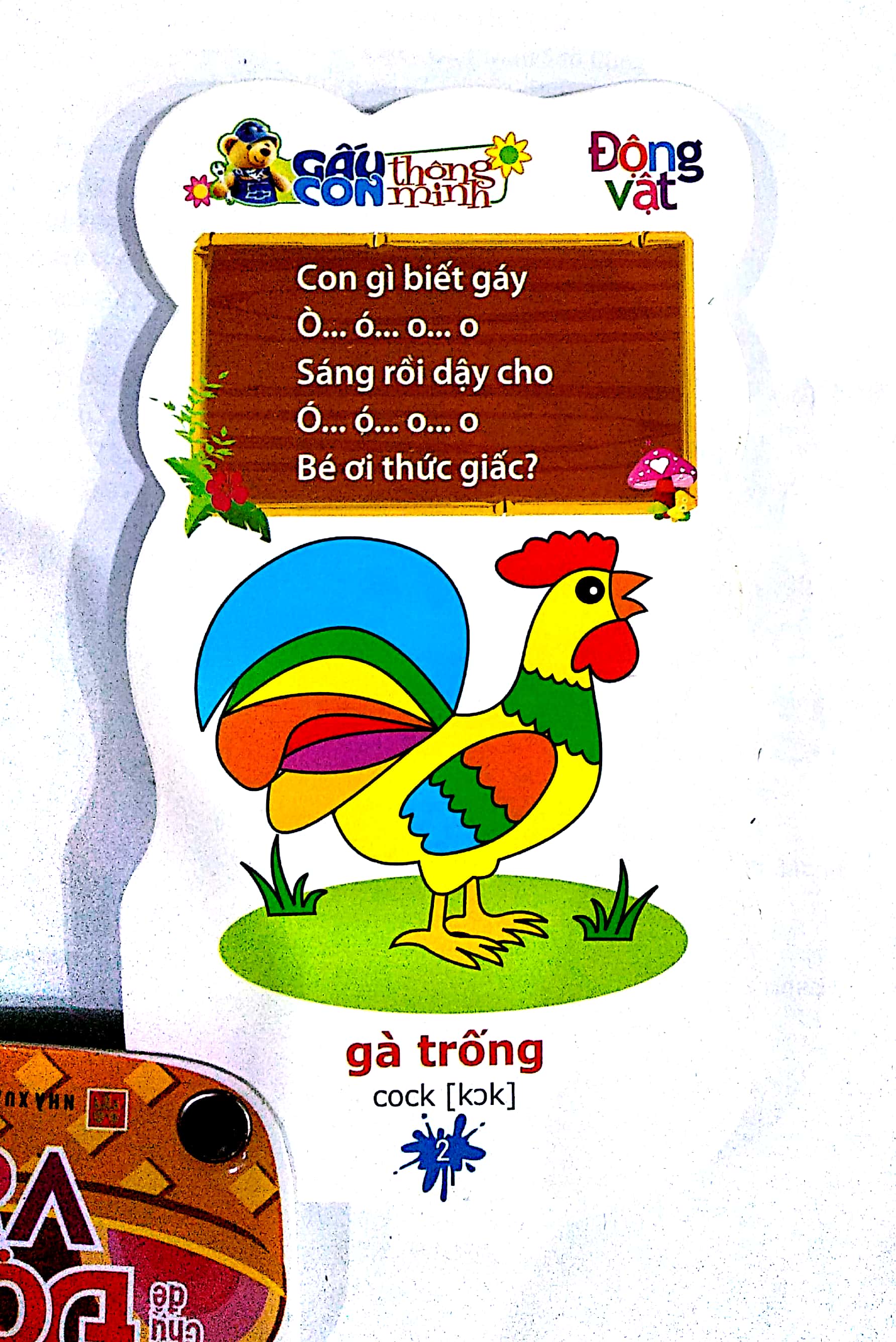 Gấu Con Thông Minh - Động Vật