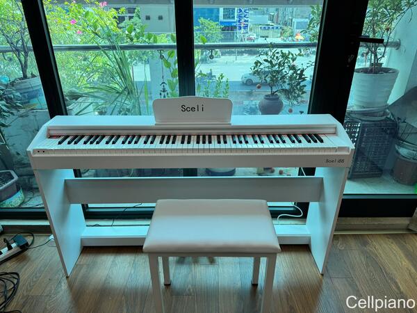 Đàn Piano điện Sceli CE88 mới 100%, chỉ hơn 7 triệu, có tin được không?