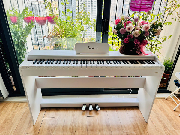 Bàn giao đàn Piano điện Sceli CE88 mới 100% đến từng ngôi nhà cho quý khách
