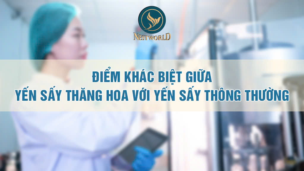 ĐIỂM KHÁC BIỆT GIỮA YẾN SẤY THĂNG HOA SO VỚI YẾN SẤY THÔNG THƯỜNG