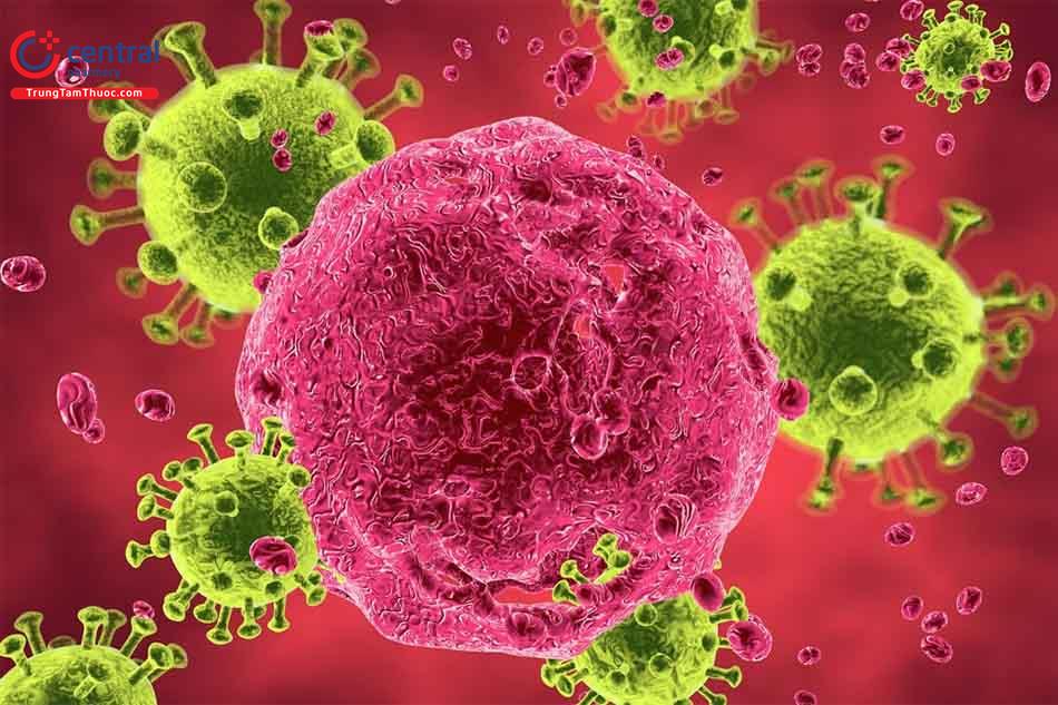 HIV và những điều bạn cần phải biết để bảo vệ sức khoẻ của bản thân