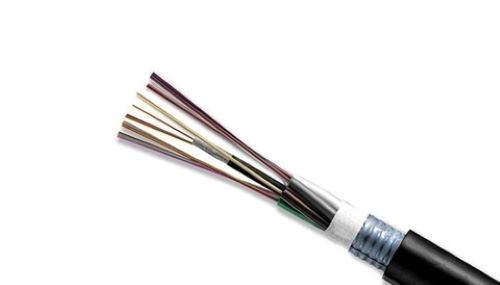 Cáp Quang 8FO – Giải pháp kết nối chất lượng cao