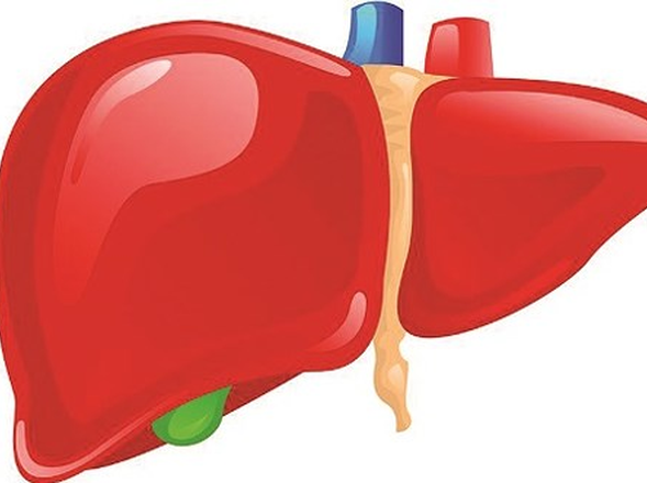 13 cách để có một lá gan khỏe mạnh
