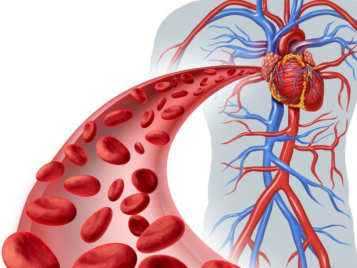 Bật mí cách bấm huyệt lưu thông khí huyết hiệu quả cho bạn