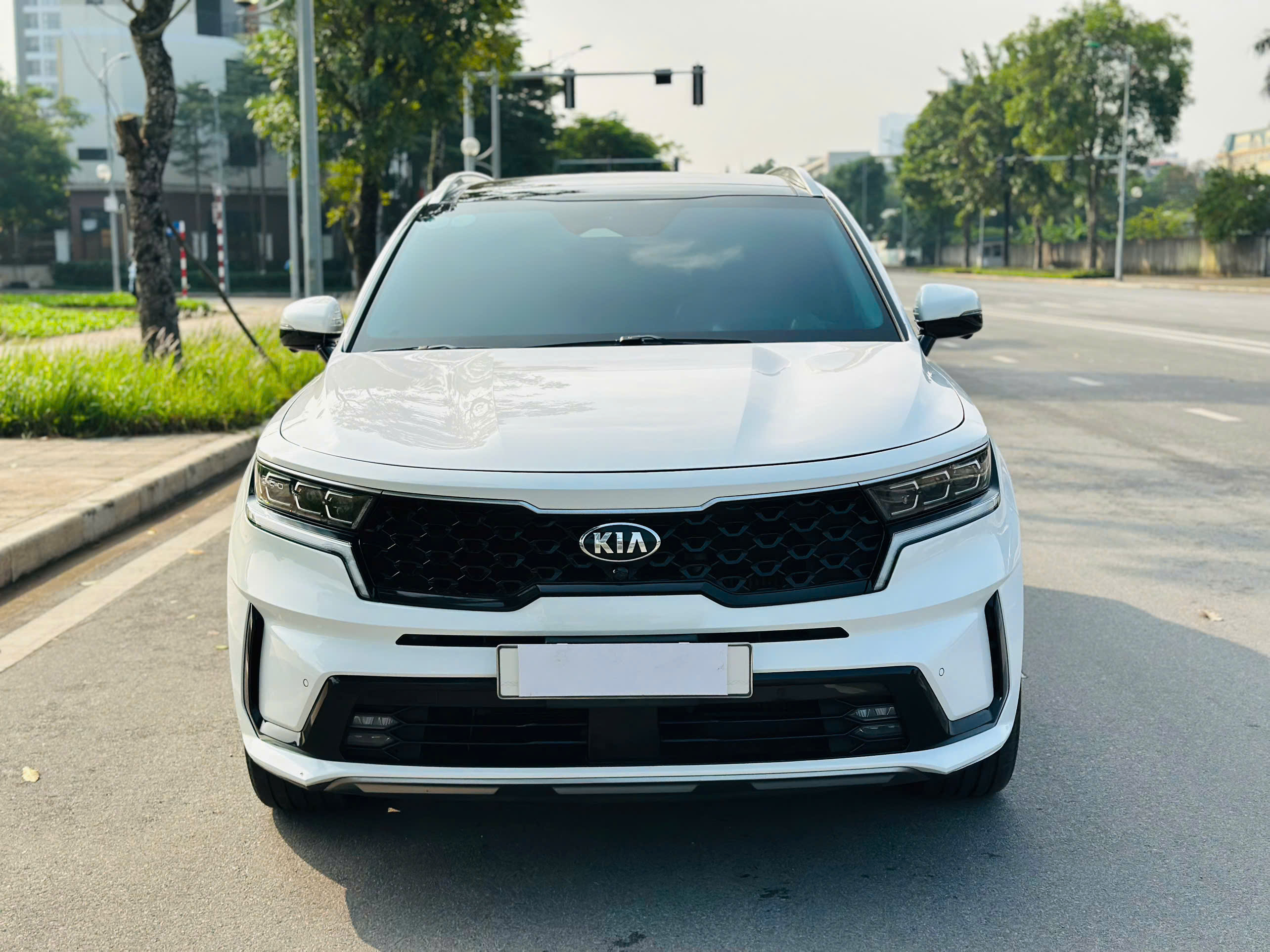 Kia Sorento Signature 2.2 AT AWD 6S 2020 trắng