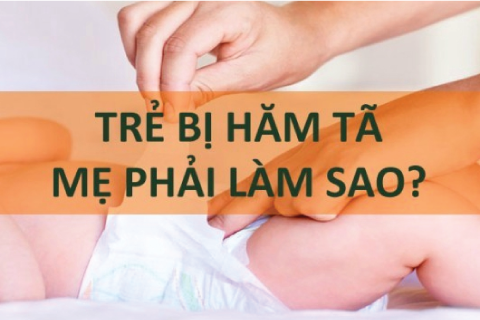 Để hăm tã không còn là nổi lo của các bà mẹ bỉm sữa