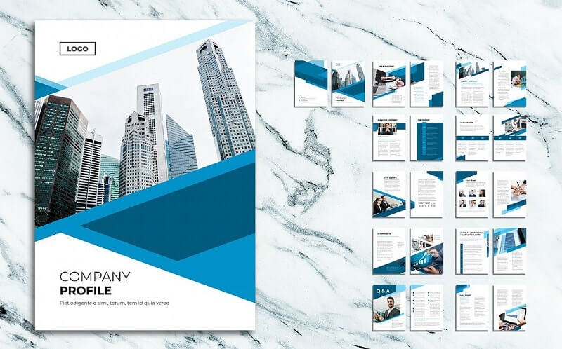 Hồ sơ năng lực là gì