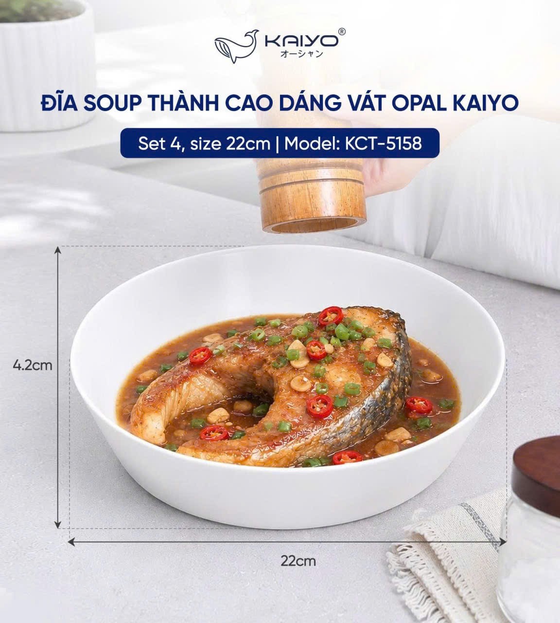 Set 4 đĩa soup thành cao dáng vát Opal Kaiyo - size 22cm [mã KCT-5158]