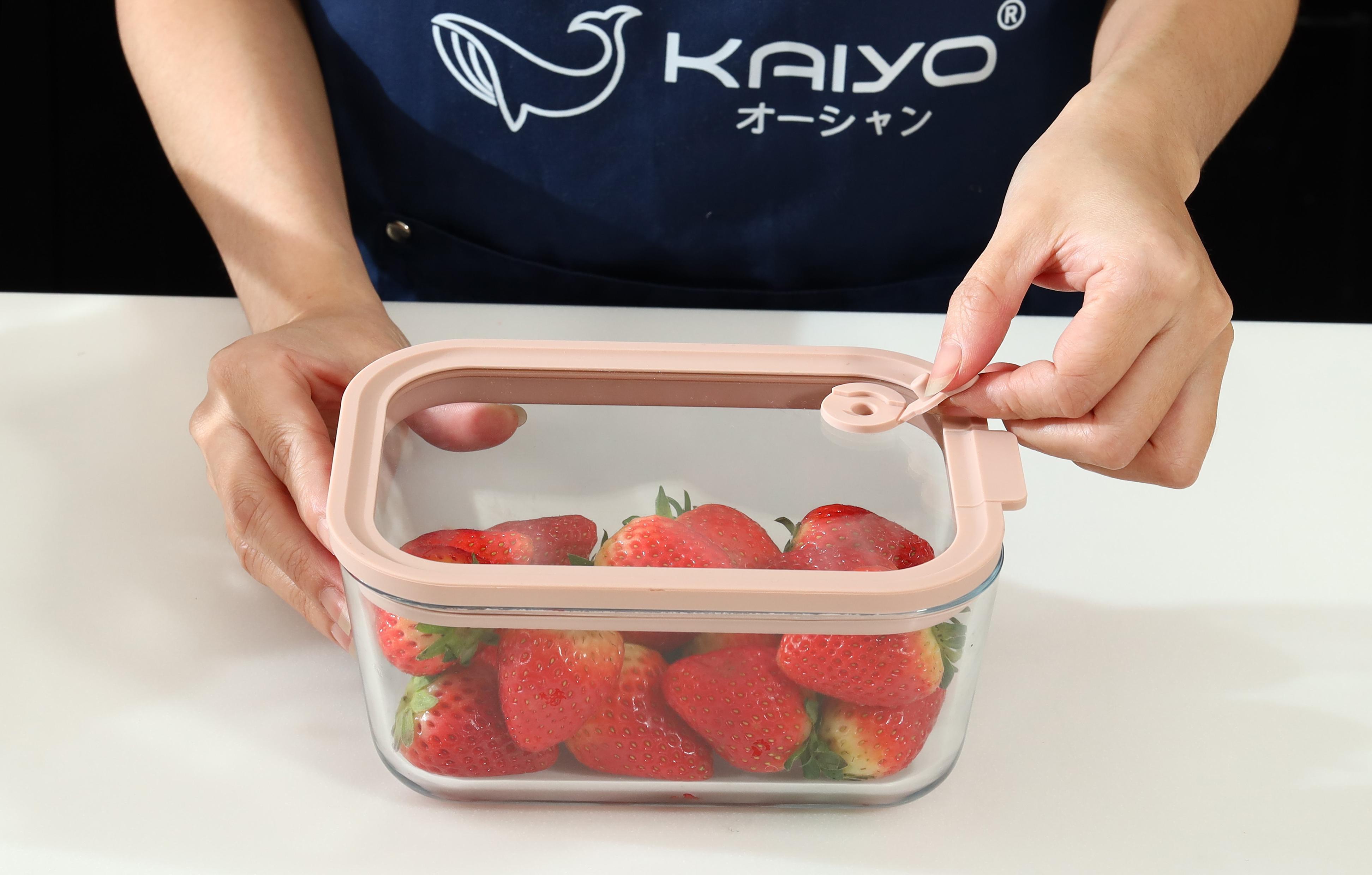 Hộp đựng thực phẩm thuỷ tinh chịu nhiệt borosilicate hình chữ nhật Kaiyo 2600ml [mã KFC-5288]