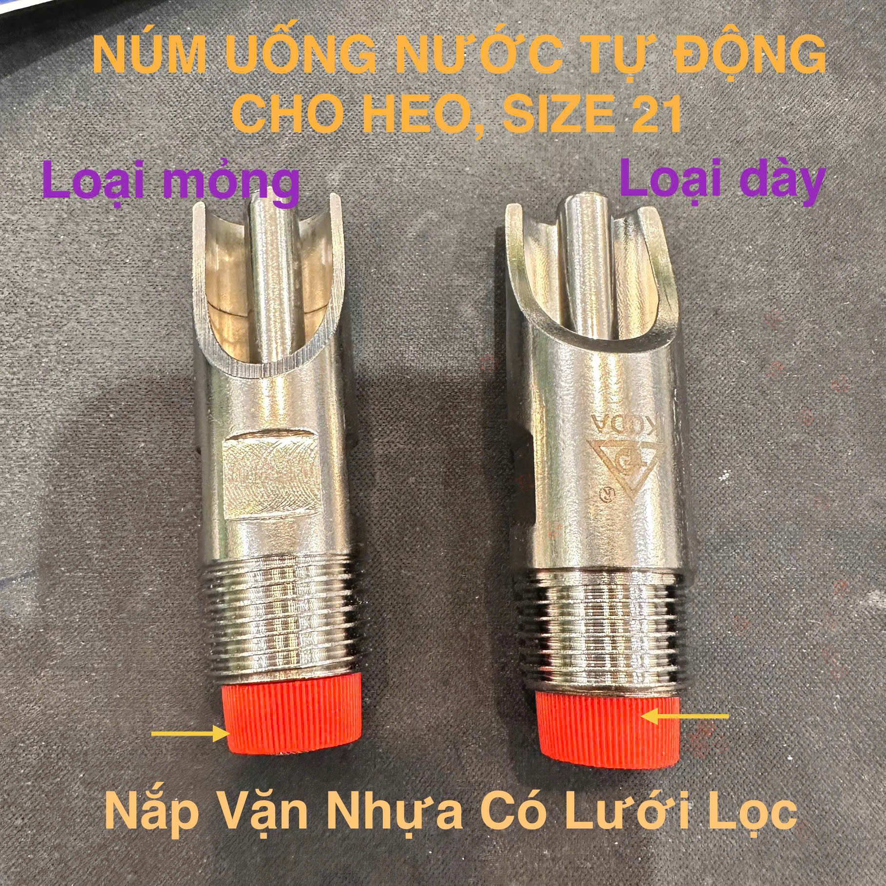 Vì Sao Người Chăn Nuôi Lâu Năm Nên Dùng Núm Uống Nước Tự Động Có Nắp Nhựa Đỏ & Lưới Lọc Inox?