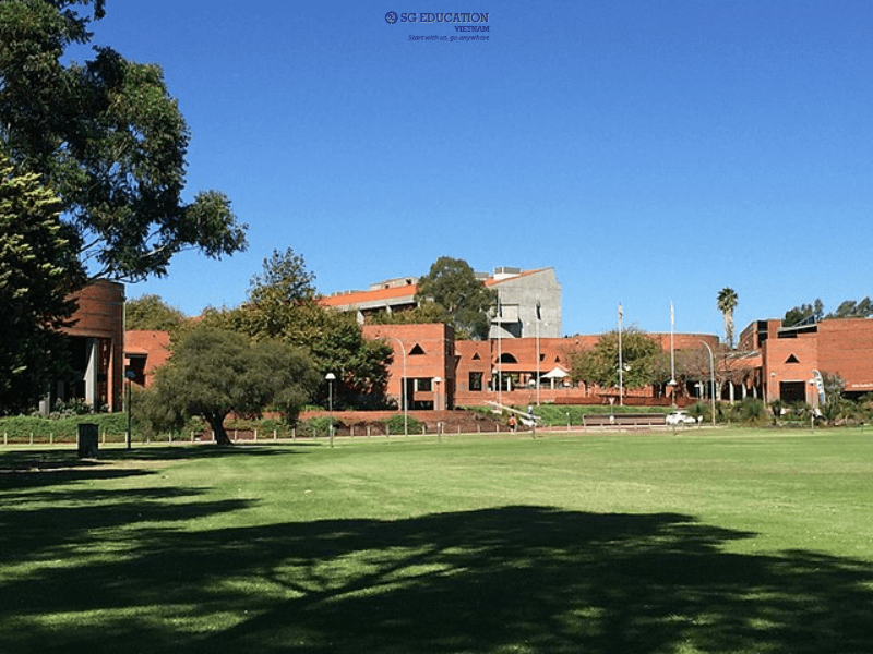 Nhiều cơ hội rộng mở tại Curtin University