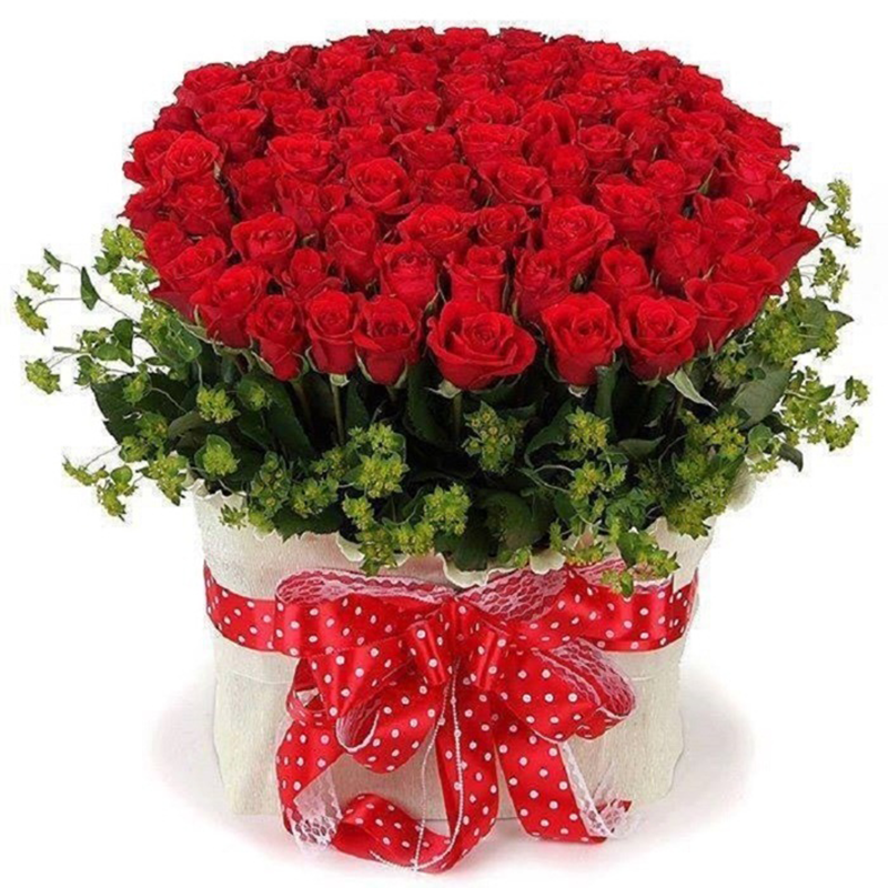 Bó Hoa Hồng Đỏ 100 Bông
