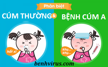 Cúm thường và cúm A khác nhau như thế nào?