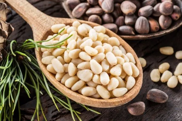 ​​​​​​​HẠT THÔNG: NGUỒN DINH DƯỠNG TINH KHIẾT TỪ THIÊN NHIÊN & LÝ DO NÓ XỨNG ĐÁNG CÓ MẶT TRONG NHÀ BẾP CỦA BẠN