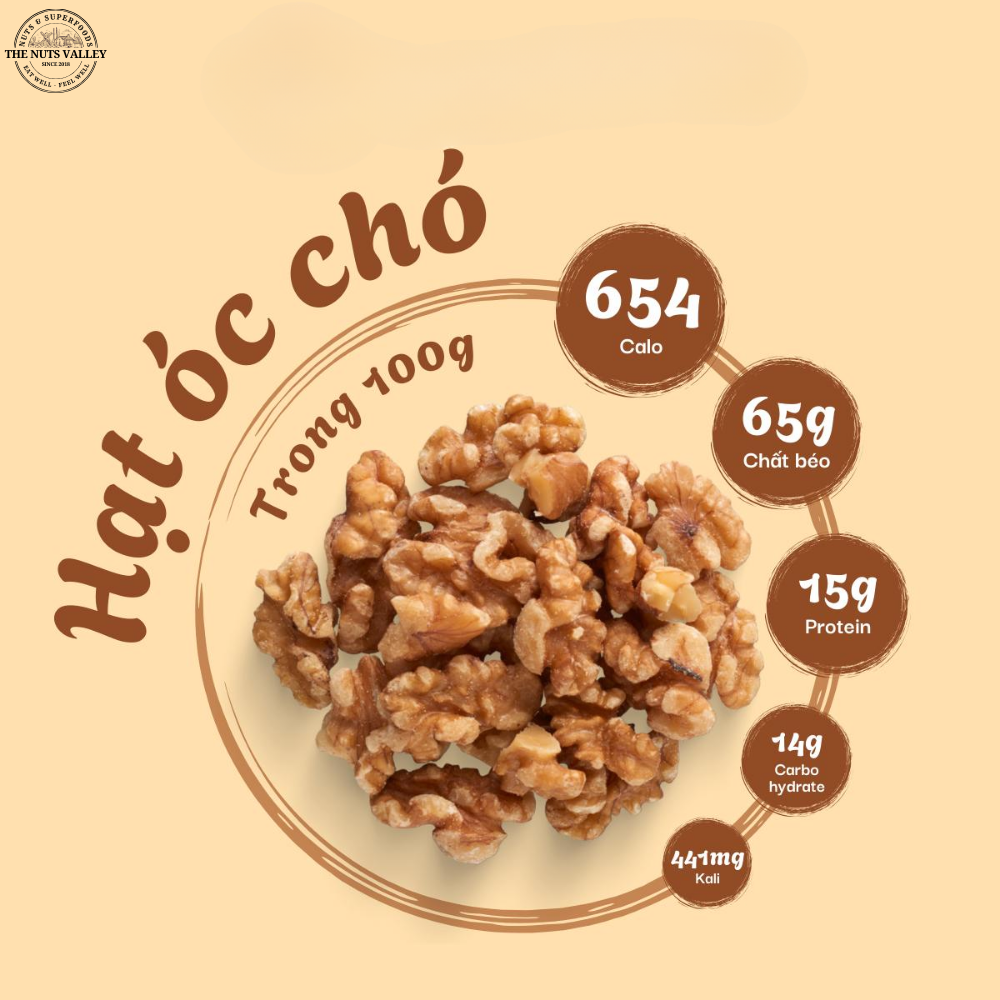 HẠT ÓC CHÓ – “VIÊN NGỌC NÂU” BỔ TÌ VỊ, DƯỠNG KHÍ HUYẾT TRONG ĐÔNG Y