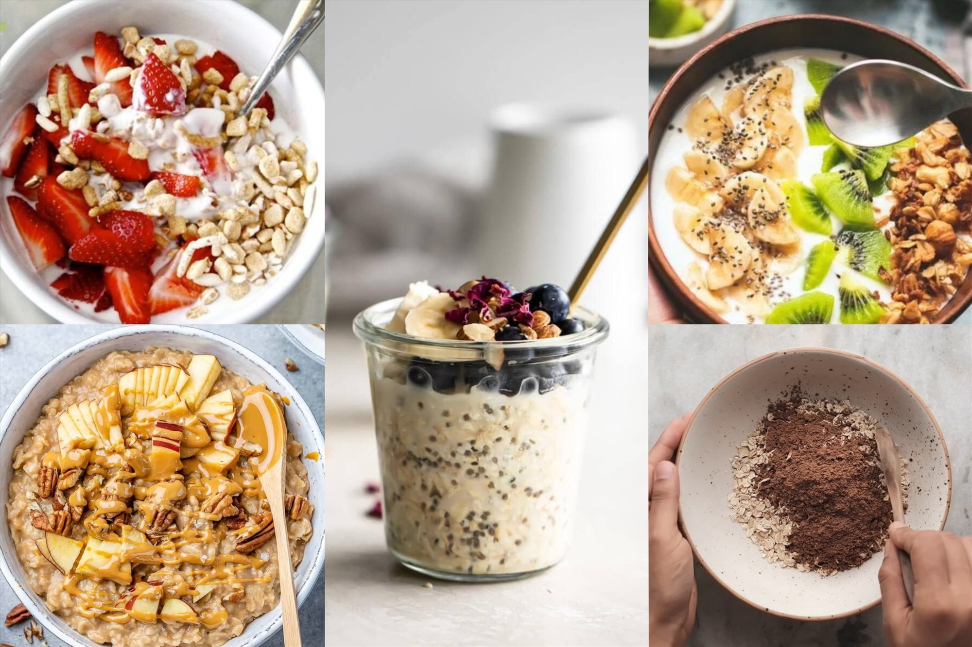 CÁCH PHÂN BIỆT CÁC LOẠI YẾN MẠCH – BÍ KÍP CHỌN ĐÚNG LOẠI YẾN MẠCH CHO NGƯỜI ĂN HEALTHY